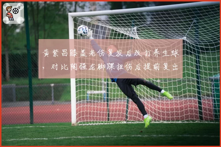 黄紫昌膝盖老伤复发后改打养生球，对比陶强龙脚踝扭伤后提前复出，河南队年轻球员伤病管理策略对比
