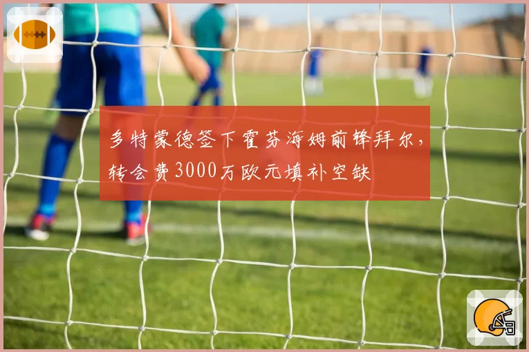 多特蒙德签下霍芬海姆前锋拜尔,转会费3000万欧元填补空缺