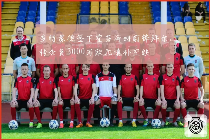 多特蒙德签下霍芬海姆前锋拜尔,转会费3000万欧元填补空缺